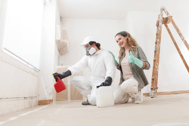 Best Mold Odor Removal Services  in Clarksville, IA